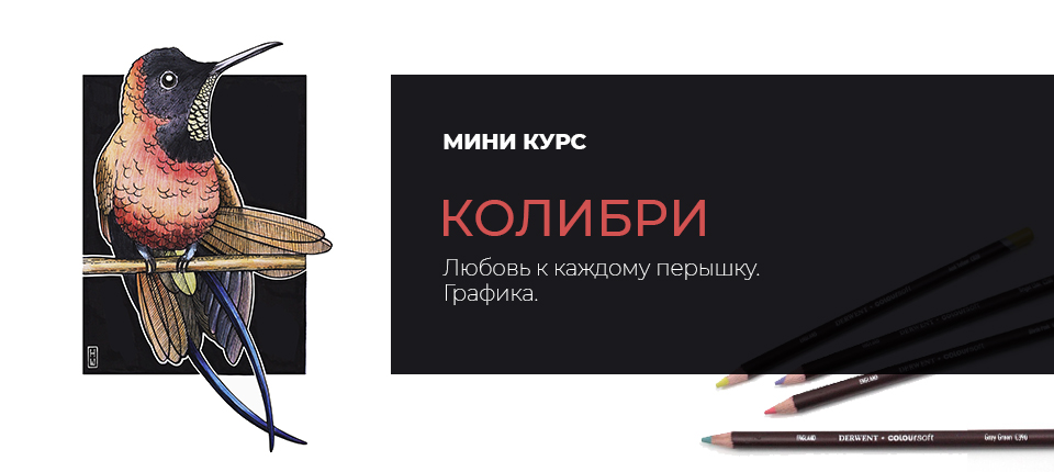 КОЛИБРИ